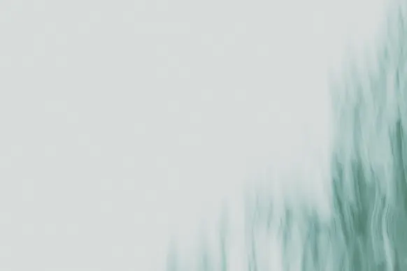 Kasino Wild Tornado Podpora